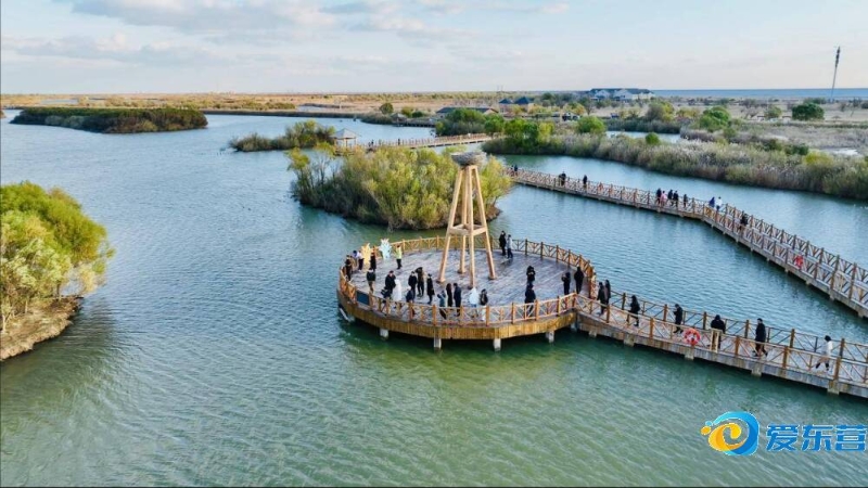 图片地址 图片地址